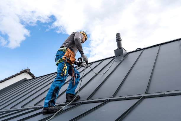 Best Asphalt Shingle Roofing  in Haleiwa, HI